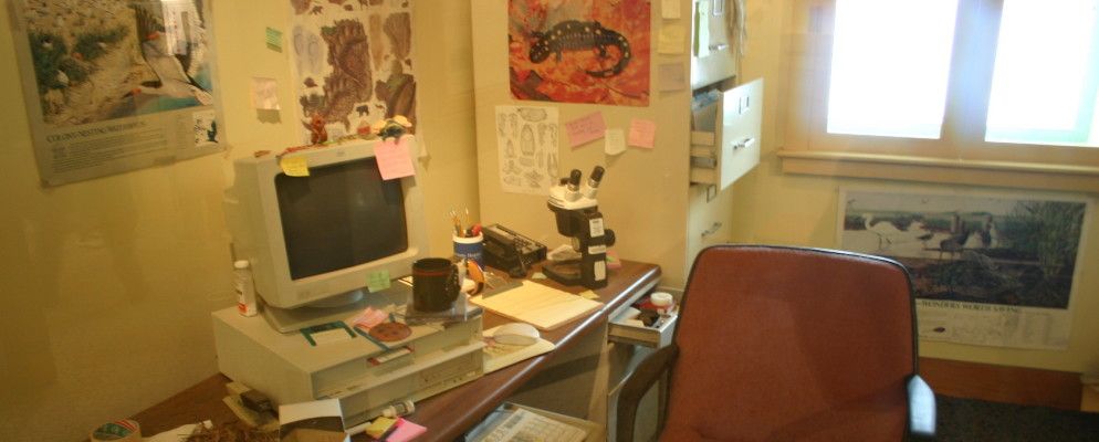 5种方法获得学术论文而又不会失去理智(或金钱)的方法