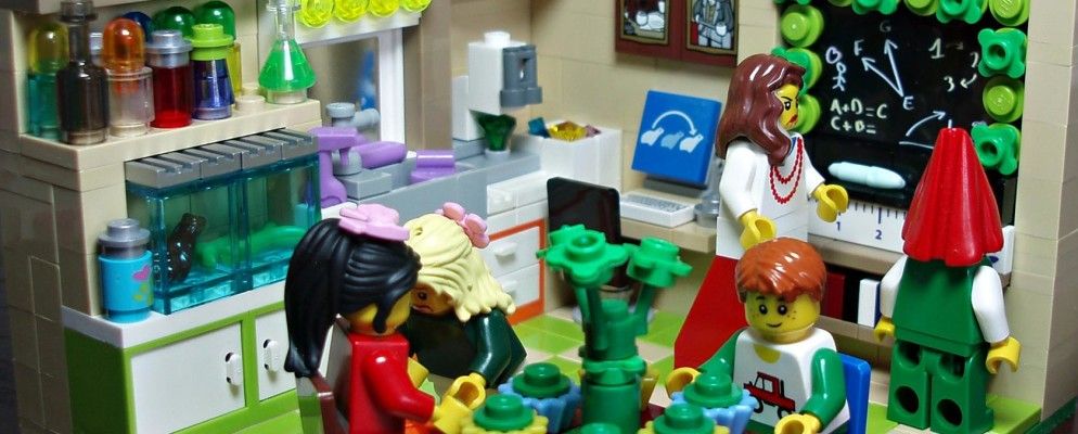 迷人的地球:我们自然世界的5个公民科学项目