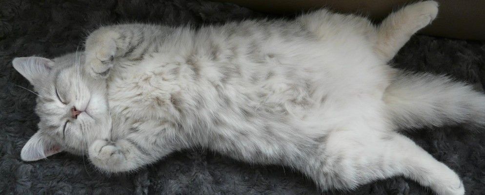 3个白噪声应用程序可帮助您睡眠，专注和放松