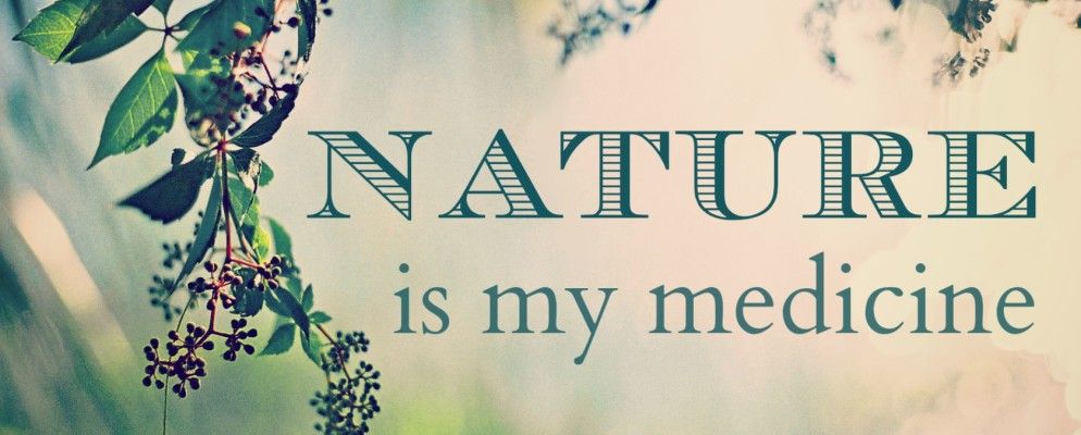 6种使大自然的声音成为您一天的一部分的方法