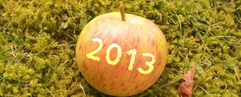 年度回顾:2013年5个最著名的新iOS应用