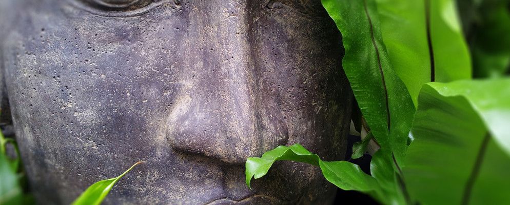 3个可帮助您在2014年及以后练习正念的应用程序