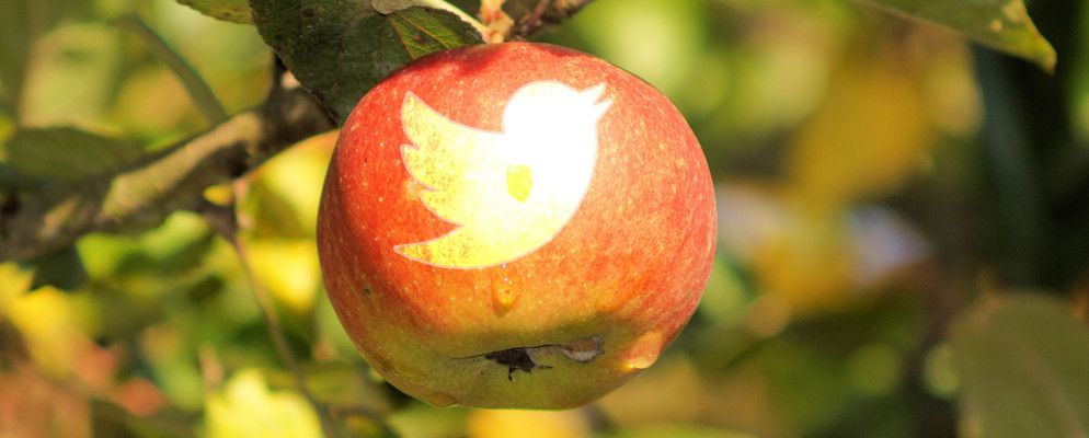 Twitter将嵌入式图像和配置文件添加到官方Mac App