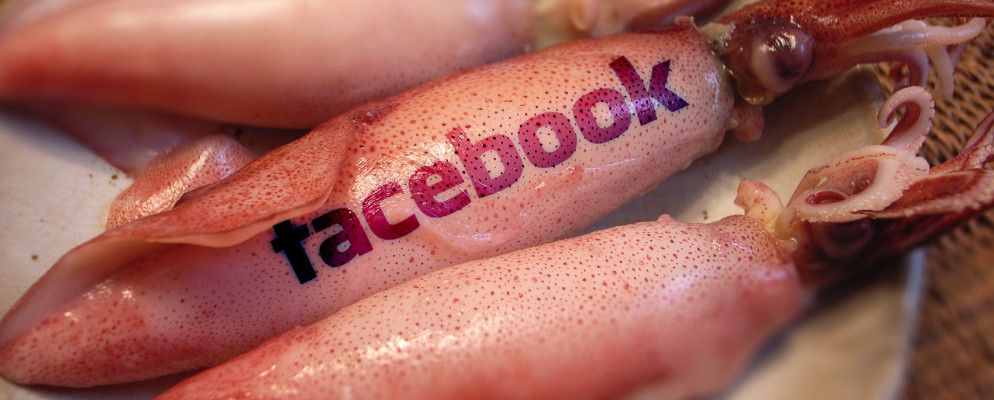 你见过这个乌贼吗？ BTW Facebook正在关闭[Facebook每周提示]