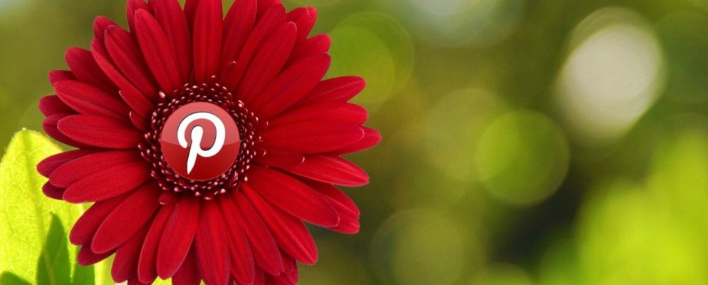 现在他们很认真了：Pinterest增加了对动画GIF的支持