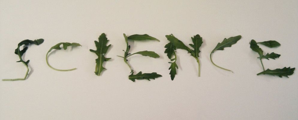 使用ScraperWiki在云中进行数据科学