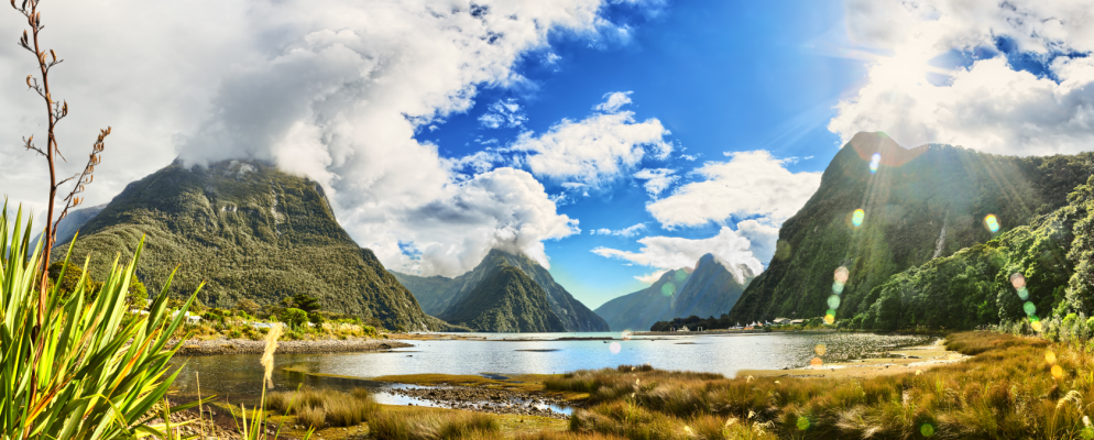 在YouTube上发现大自然的声音