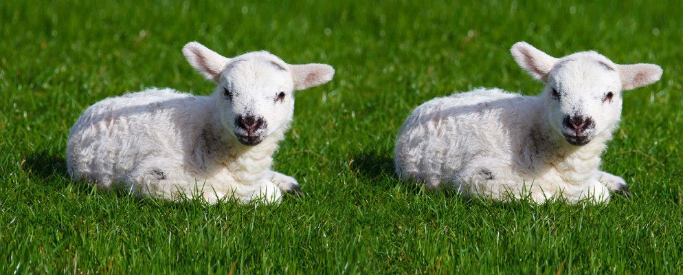 6种比原始版本更好的游戏克隆