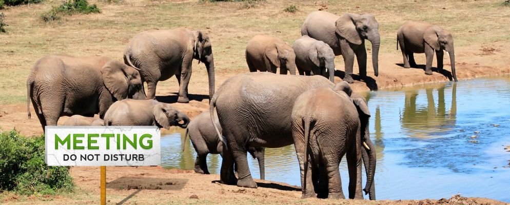 如何使用Evernote管理会议