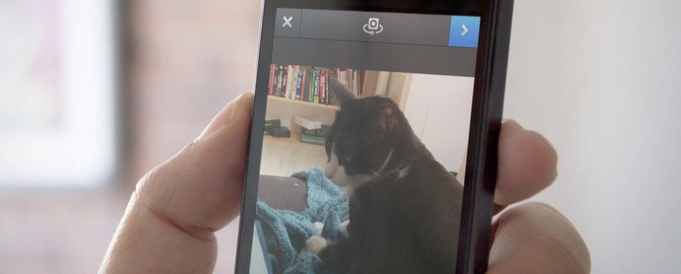 11个Instagram帐户,提供无价,精彩视频