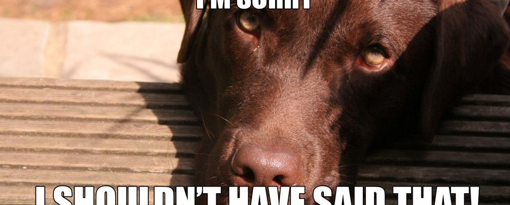 不要开玩笑：您发布的任何东西都可以并且会被用来反对您[意见]