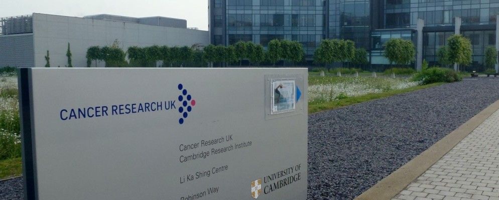 这些智能手机和浏览器应用程序有助于抗击癌症