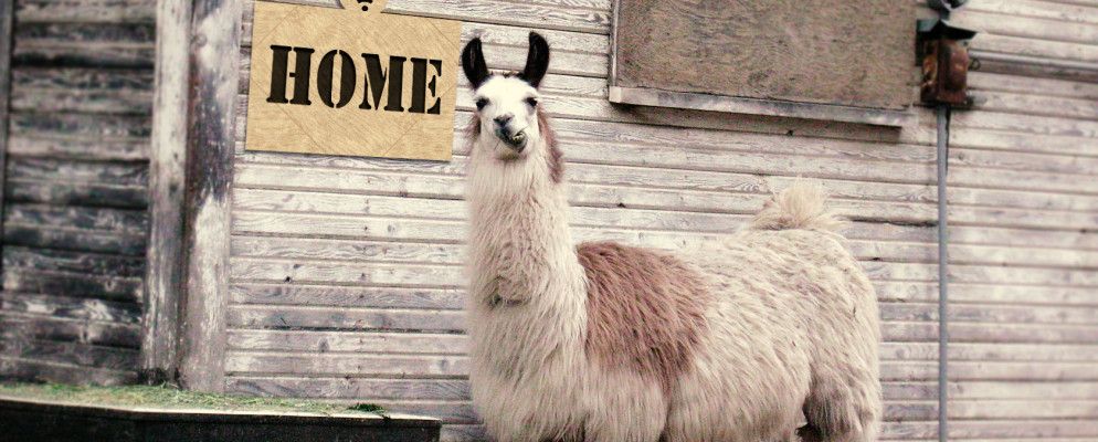 连接到家庭网络时禁用Android屏幕锁定的更好方法