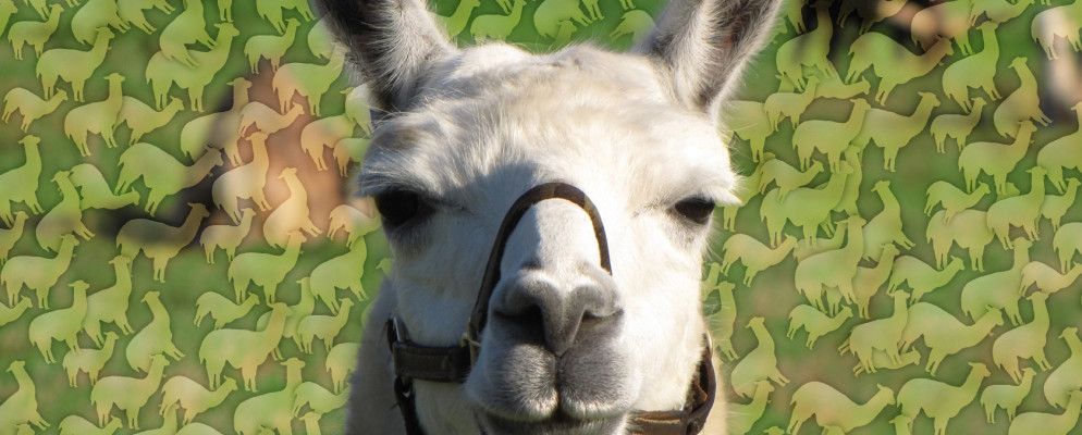 开发人员访谈:如何为您的应用获得超过500,000次下载?