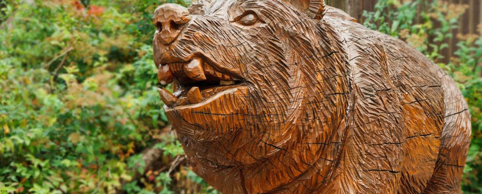 使用Tunnelbear的Intellibear过滤VPN隧道