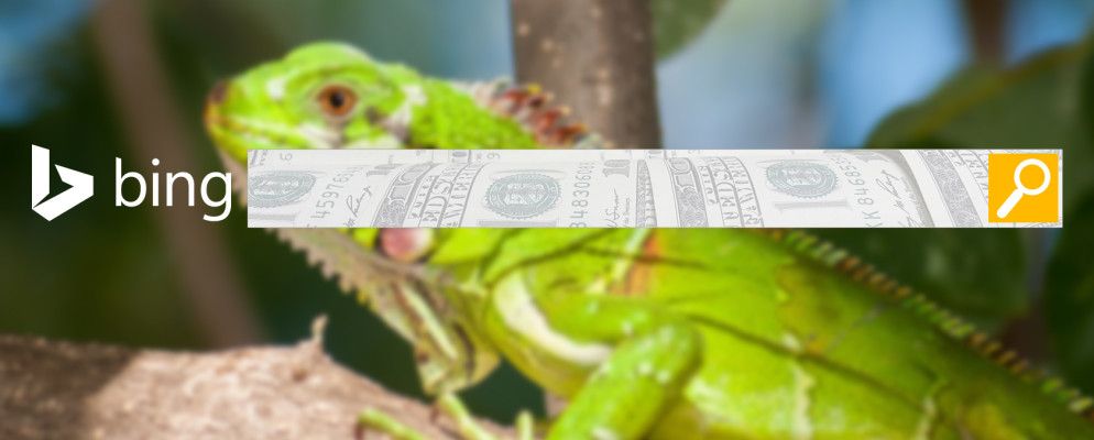 减少搜索量并了解更多信息:探索必应在线课程,书籍和更多内容