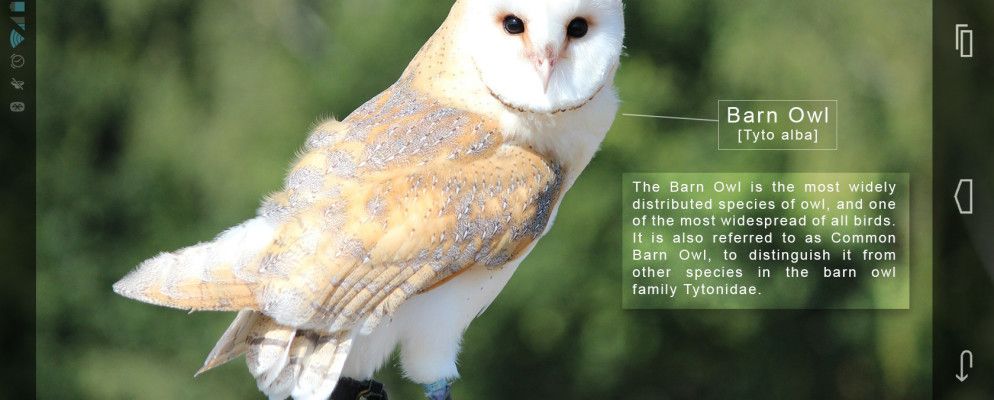 抬头！ 3个用于观鸟的Ace Android应用