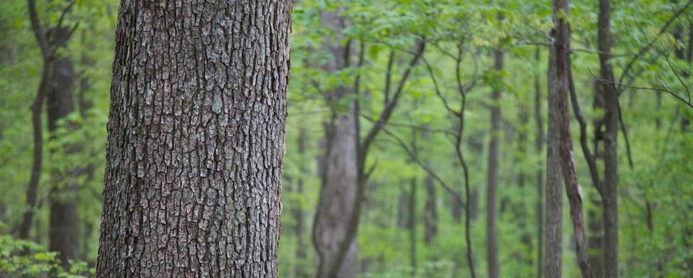 环保计算机极客如何节省金钱