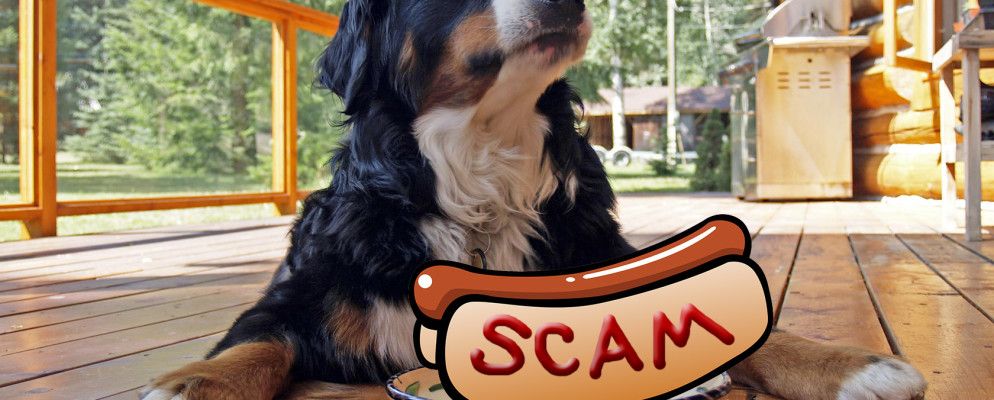 不要误入骗子：勒索软件和其他威胁指南