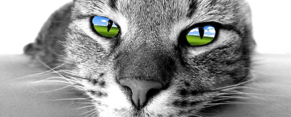 仍然可以使用旧Windows XP硬件的8种方法