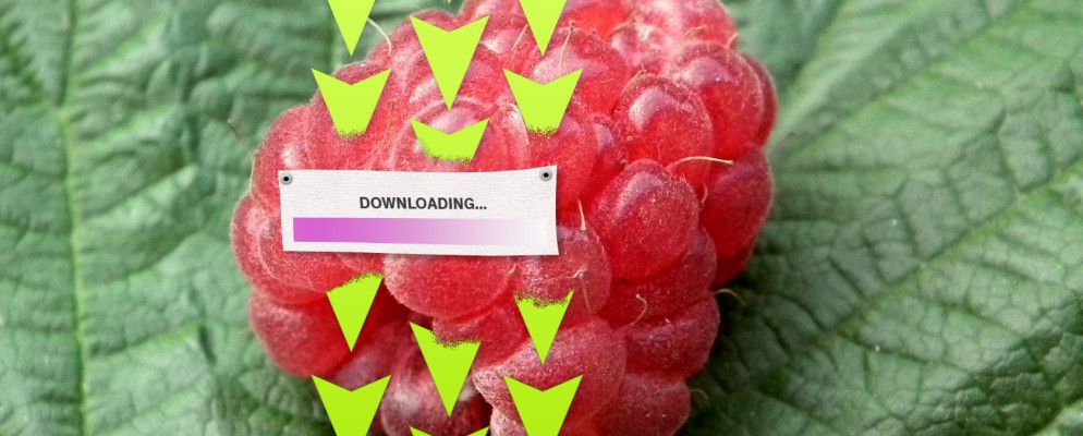 如何将树莓派变成永远在线的下载巨石