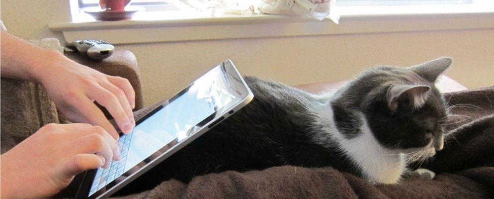 百思买平板电脑销售大跌，微软就电子邮件大战，还有更多……[科技新闻摘要]