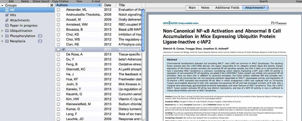 使用Mac的书挡可以更轻松地创建书目和脚注引文