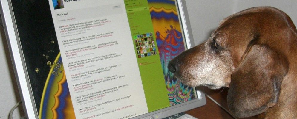 Twitter测试烦人的用户，黑客将YouTube视频作为目标，还有更多…[技术新闻摘要]