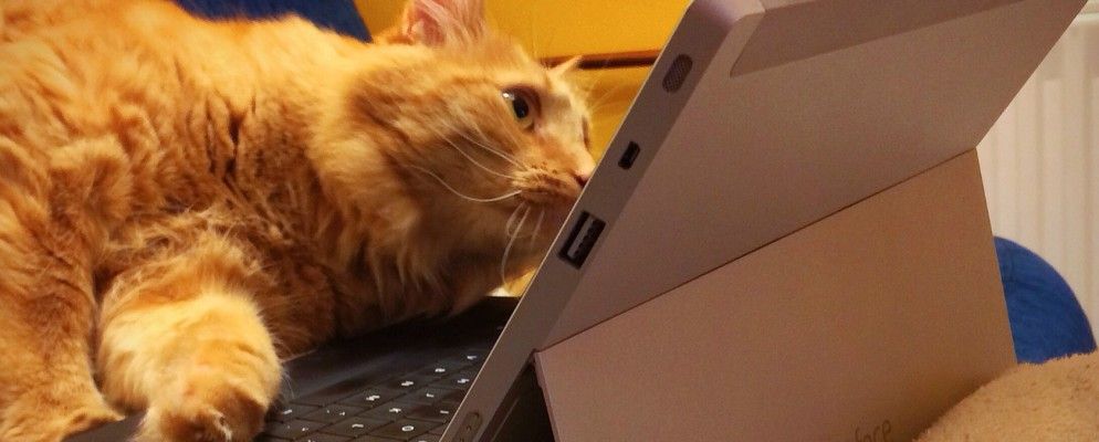 Windows Store丢失了虚假应用程序，Apple Watch传入以及更多…[技术新闻摘要]