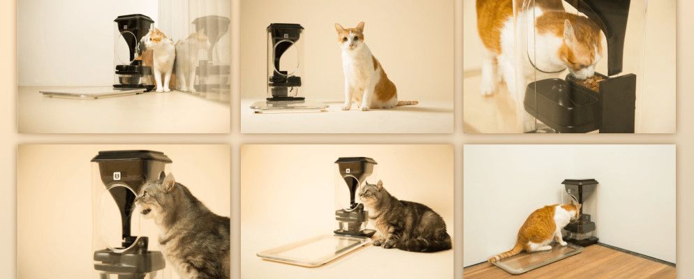 您可能从未听说过的5种智能家居小工具