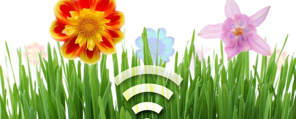 5种有助于管理花园的智能设备