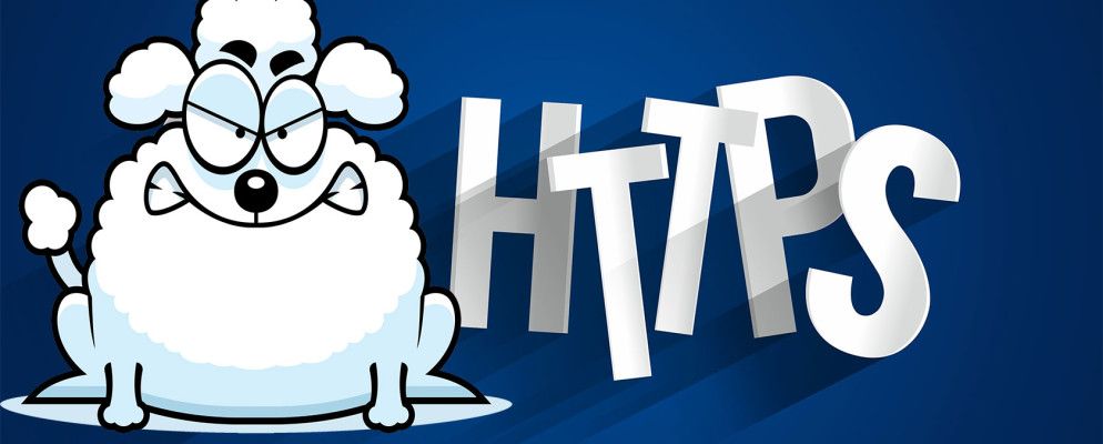 如何阻止对您的浏览器的POODLE攻击