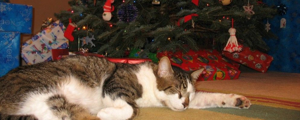 极客的20个小工具礼品创意