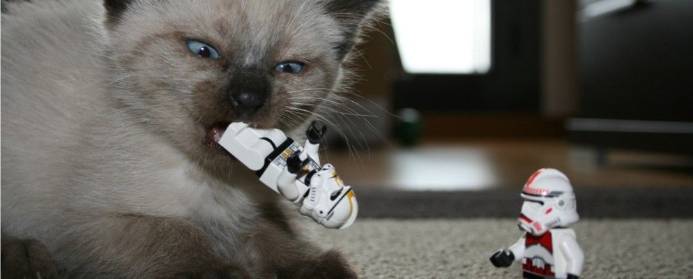 原力觉醒：《星球大战VII》的25个替代名称[怪异而奇妙的网络]