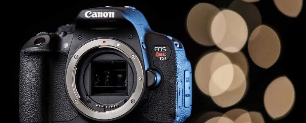 从初学者到热心者：更换您的第一台数码单反