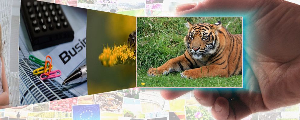 10个免费的PowerPoint模板以样式展示您的照片