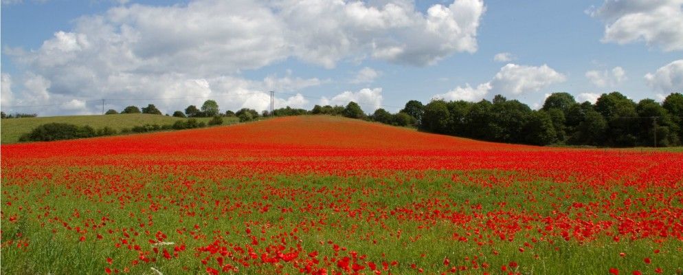 黑客开始第三次世界大战，美国和英国进行在线攻击交易[技术新闻摘要]