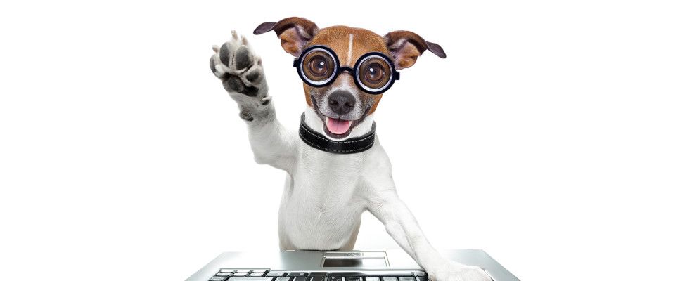 您是近视还是远视?使Windows更易于使用的提示