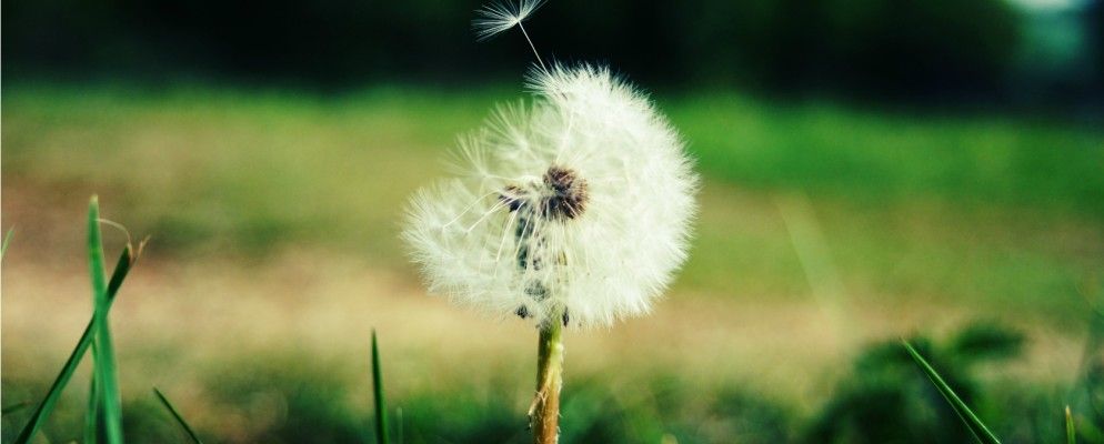 15种移动应用程序保证可以浪费您的宝贵时间