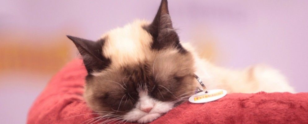 15值得观赏的YouTube名人娱乐节目