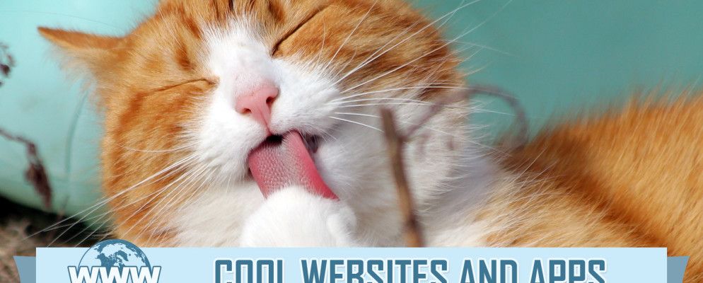 这5个网站完全没有意义,您一定会喜欢的