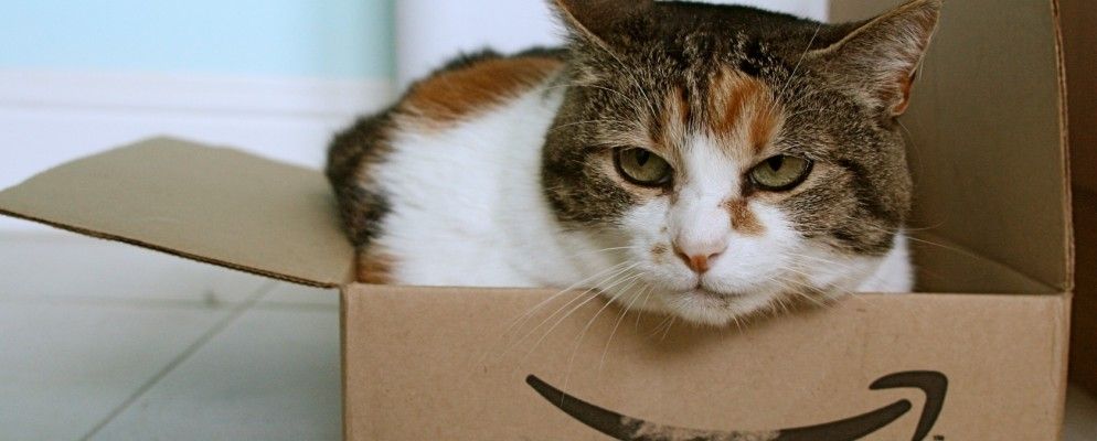 亚马逊需要您提供送货服务，便利商店获得众筹资金，等等……[科技新闻摘要]