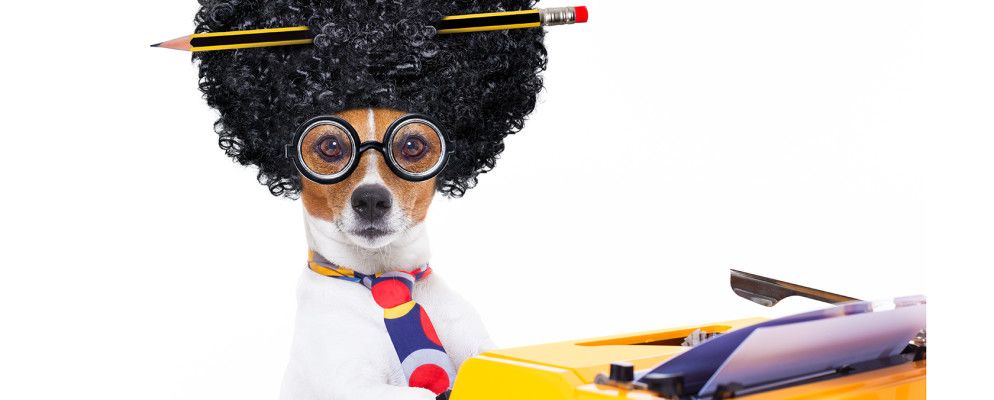 为什么要保持无聊：通过这8个网站查找有趣的办公用品