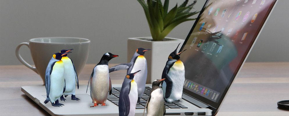 最好的仅限Mac的开源软件