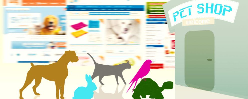 毛茸茸的朋友最好的13家在线宠物店