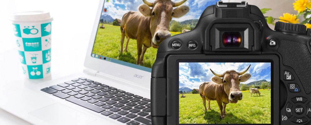 您可以为完美的桌面墙纸拍摄的7张照片