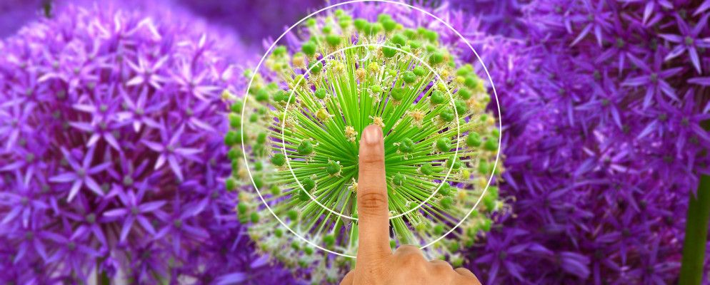 哪种智能手机具有最佳自动对焦；它是如何工作的？