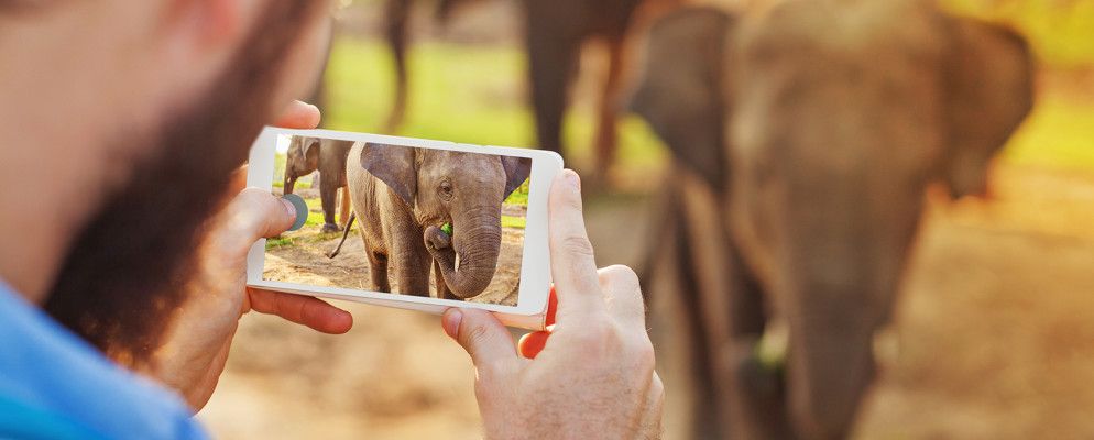 这个巧妙的技巧让您在iPhone上存储更多照片
