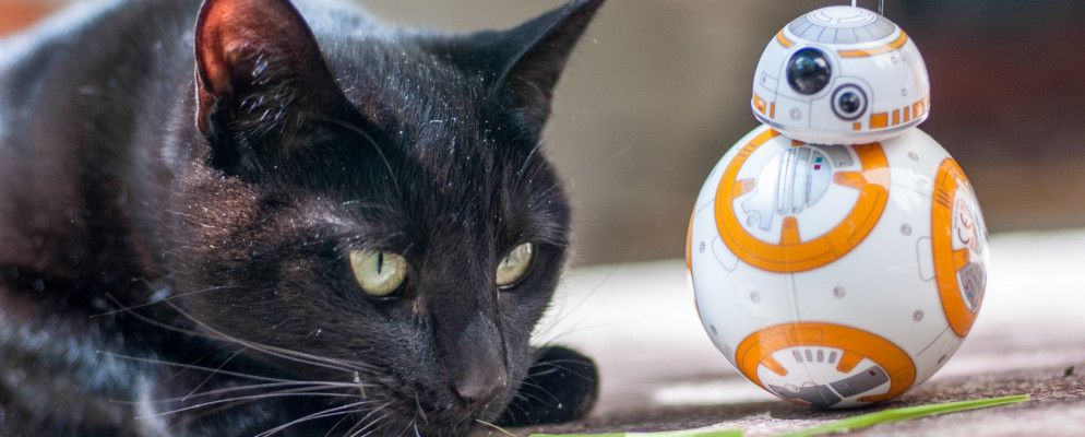 猫的力量:Sphero星球大战BB-8评论和赠品