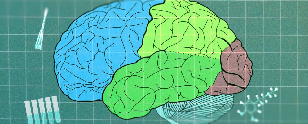您可能错过的27个绝佳学习网站